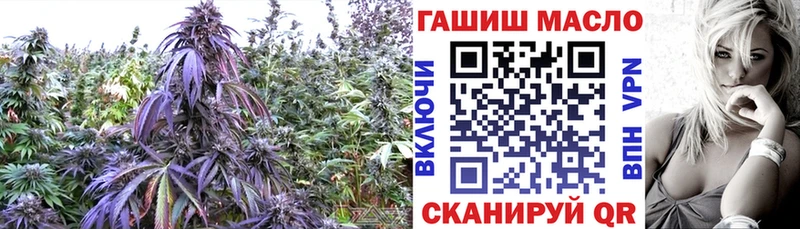 ОМГ ОМГ tor  Полесск  ТГК THC oil 